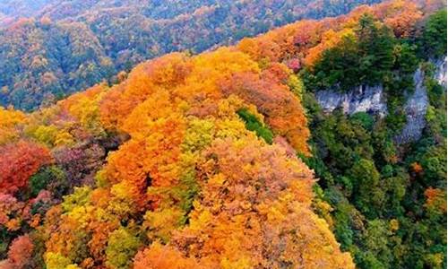 光雾山五个景区哪个最好_光雾山五个景区哪个最好看